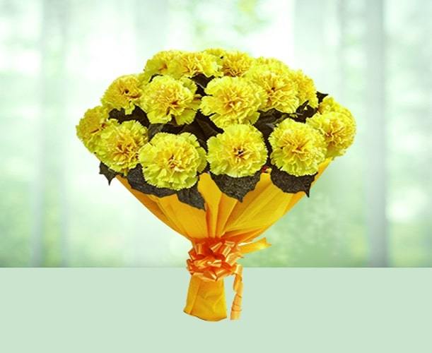 Most Popular Carnation Flower Varieties by Color
